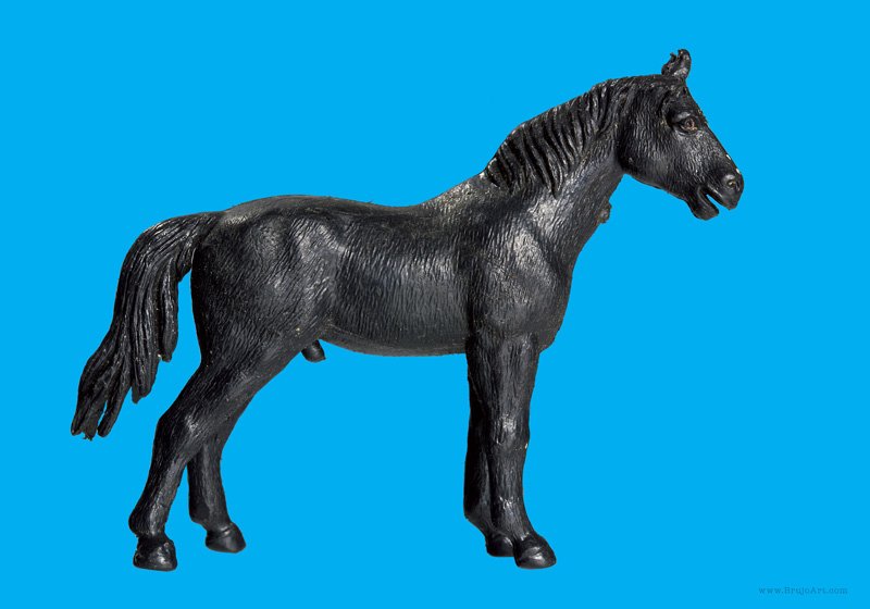 Plastic Fantastic: Horse