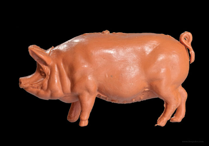 Plastic Fantastic: Pig