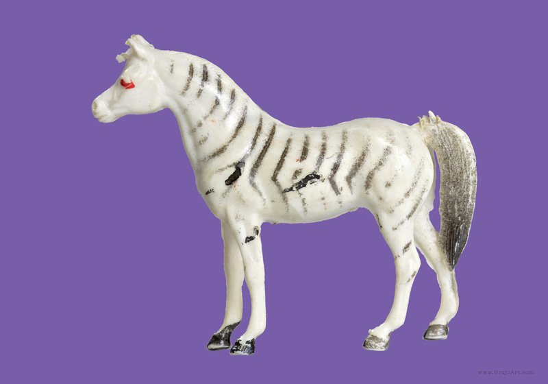 Plastic Fantastic: Zebra