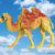 Animal Heaven: Camel