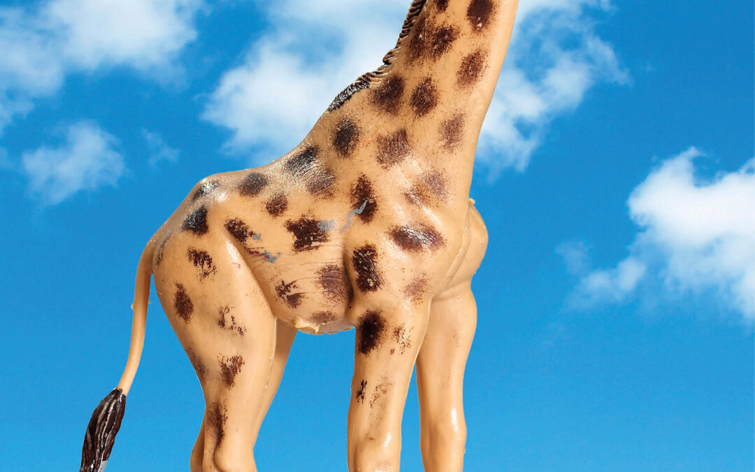 Animal Heaven: Giraffe