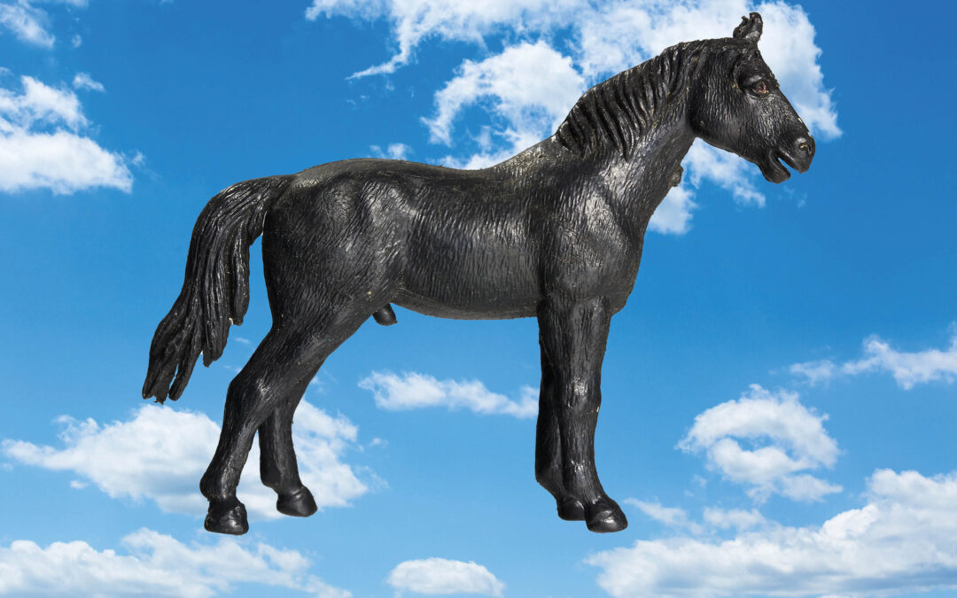 Animal Heaven: Horse