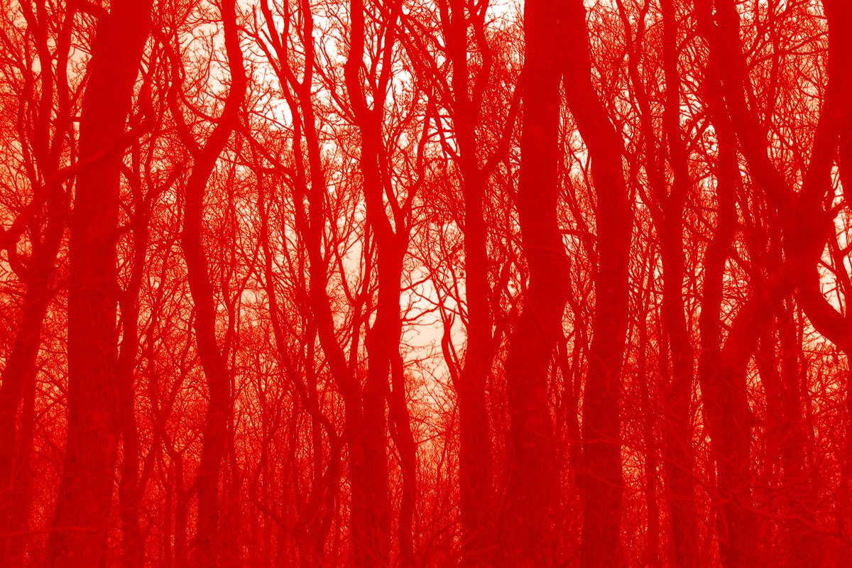 Velvet-wood#7(Rød)