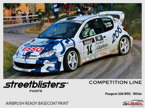 SB306035 Peugeot 206 WRC  white Paint Material