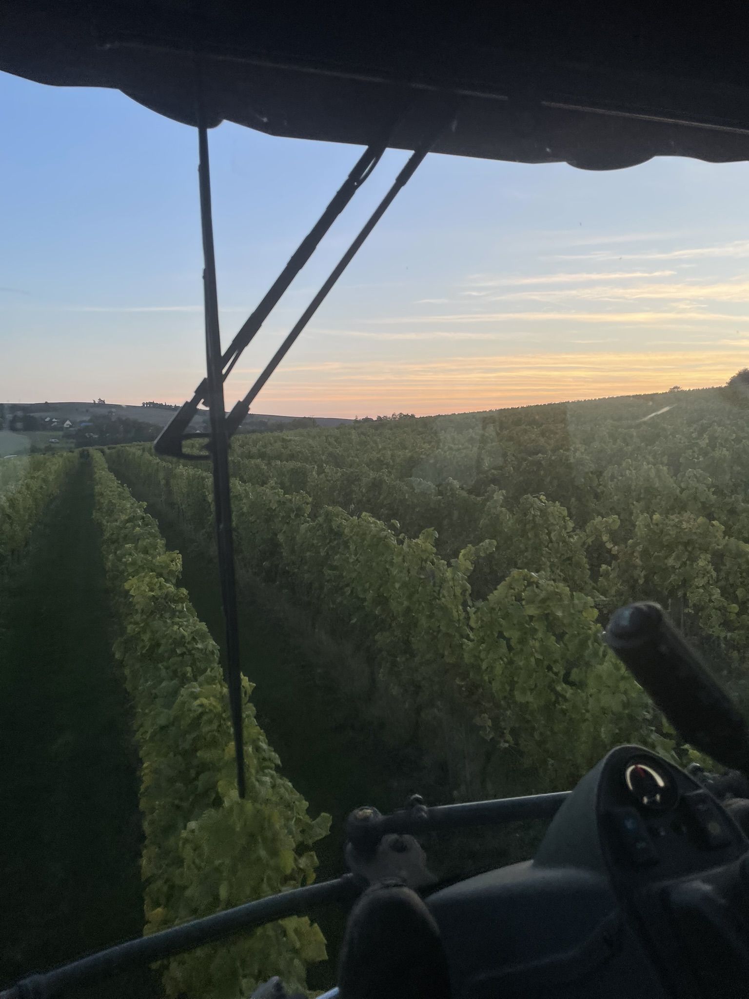 Blick über die Weinberge im Nahetal bei Sonnenuntergang von der Lesemaschine.