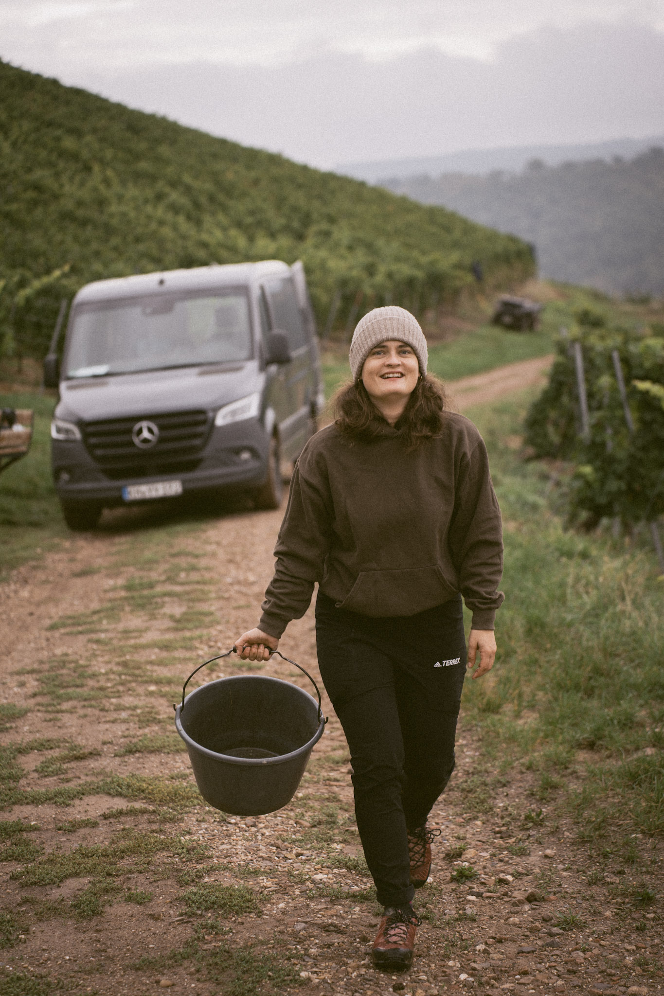 Erntehelferin trägt einen Eimer mit Trauben im Weinberg während der Weinlese.