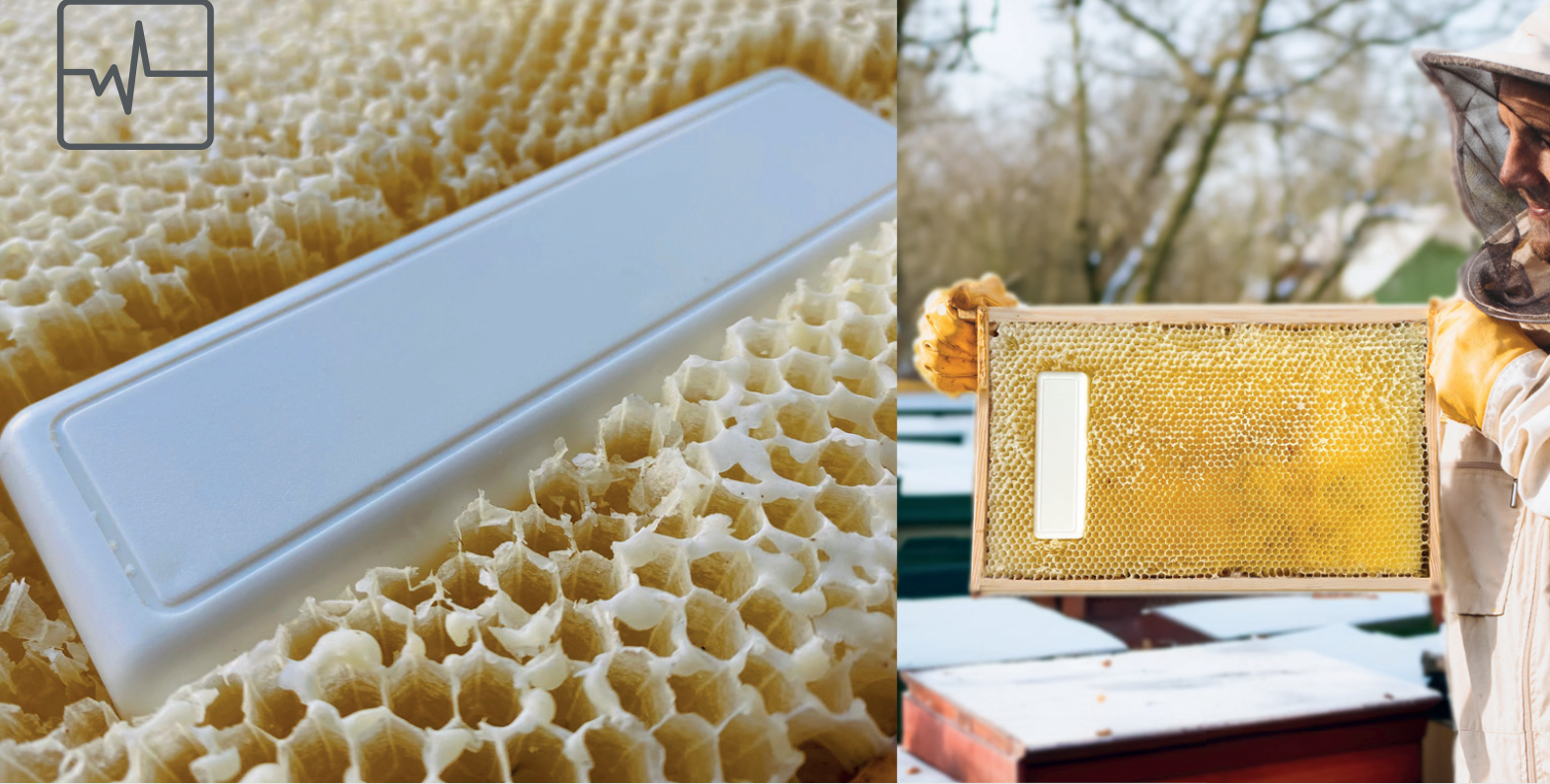 Sammelbestellung Frequenzsensor MAJA