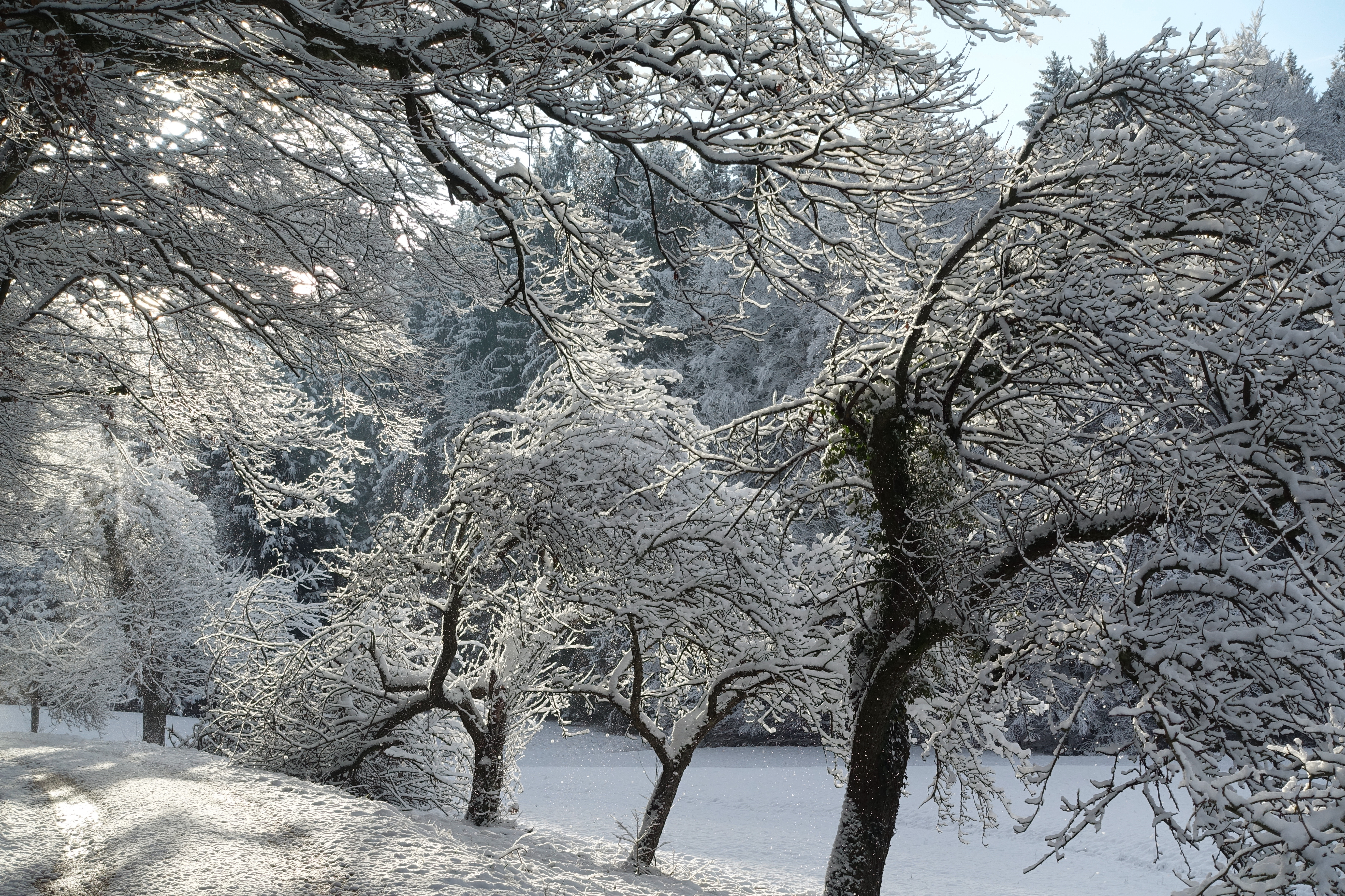 Fotografie einer verschneiten Landschaft in der Nähe von Plüderhausen