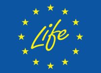 Life-logo