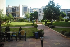 very well maintained courtyard