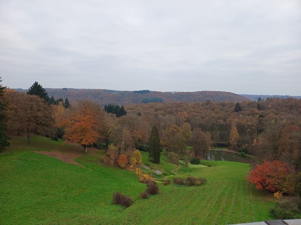 IMG_20241116_135649235