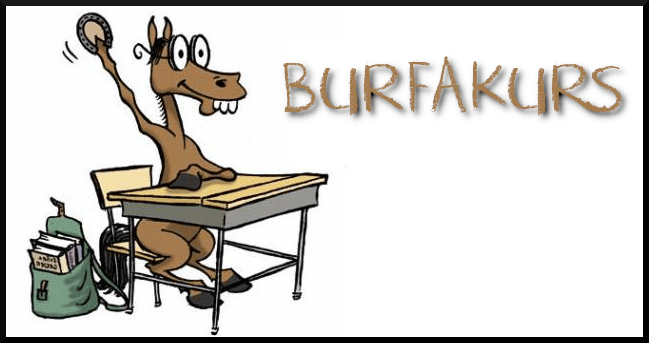 BuRFa-kurs