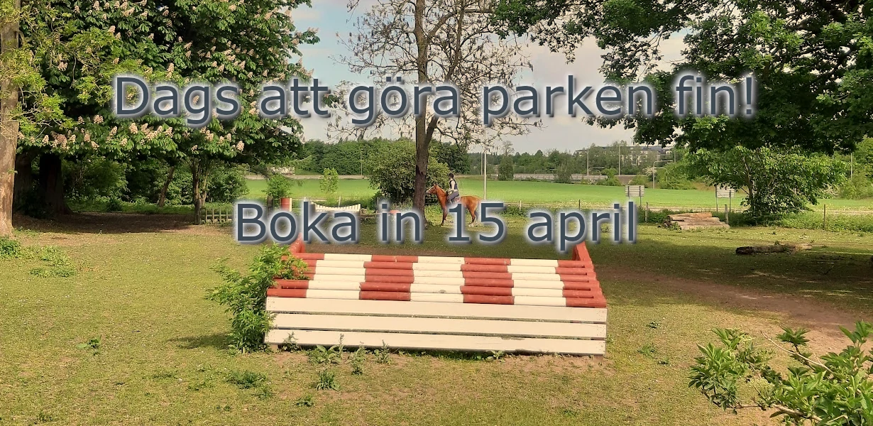 Dags att vårstäda parken