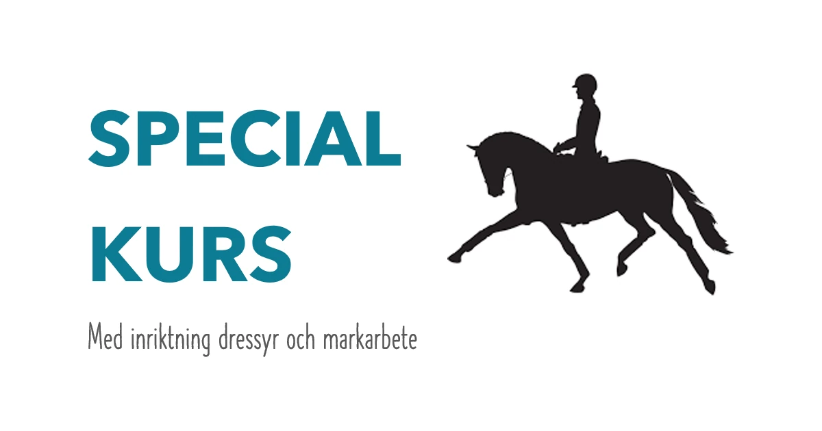 Kurs med inriktning dressyr och markarbete