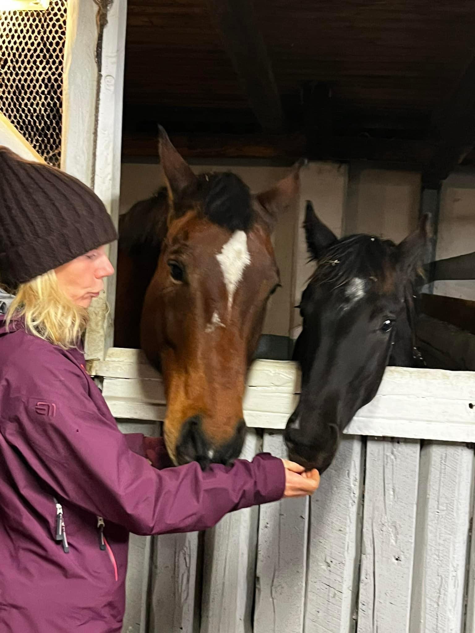 Lär känna BuRFs styrelse – Johanna