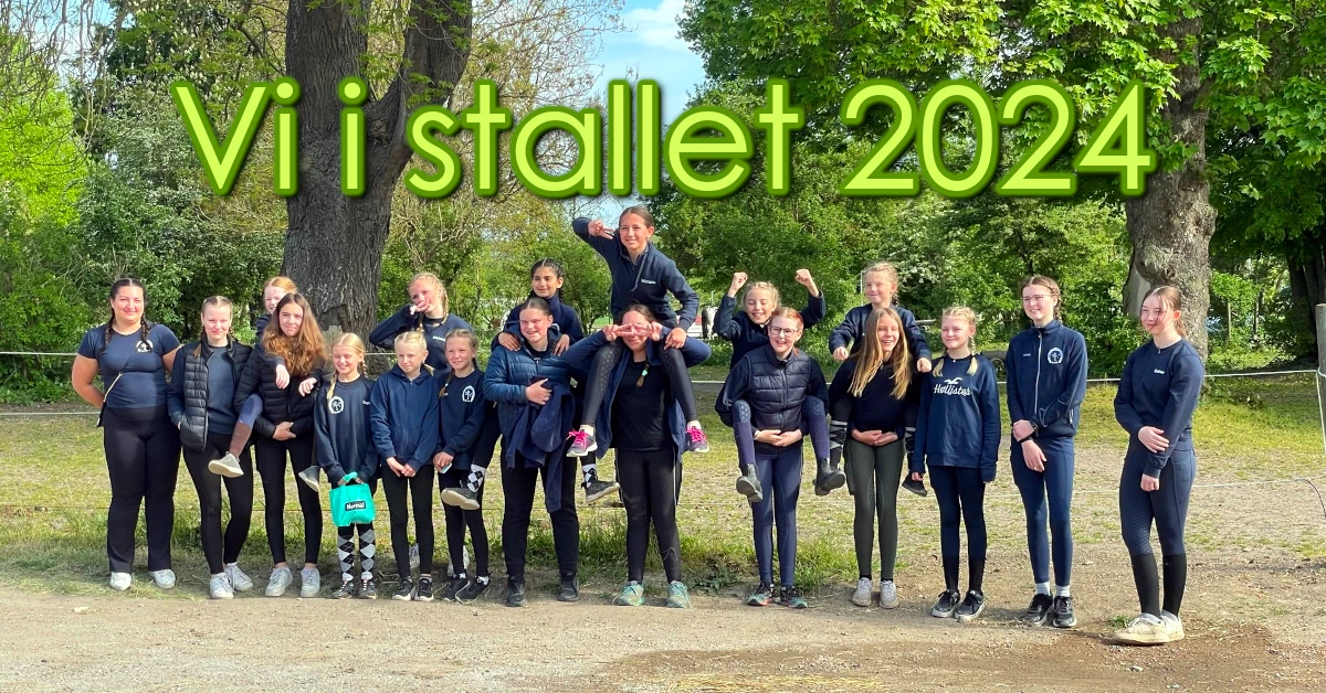 Vi i stallet 2024