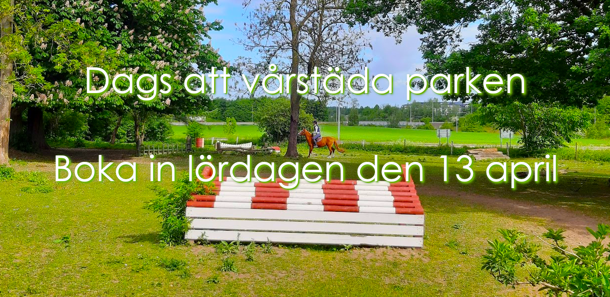 Dags att vårstäda parken