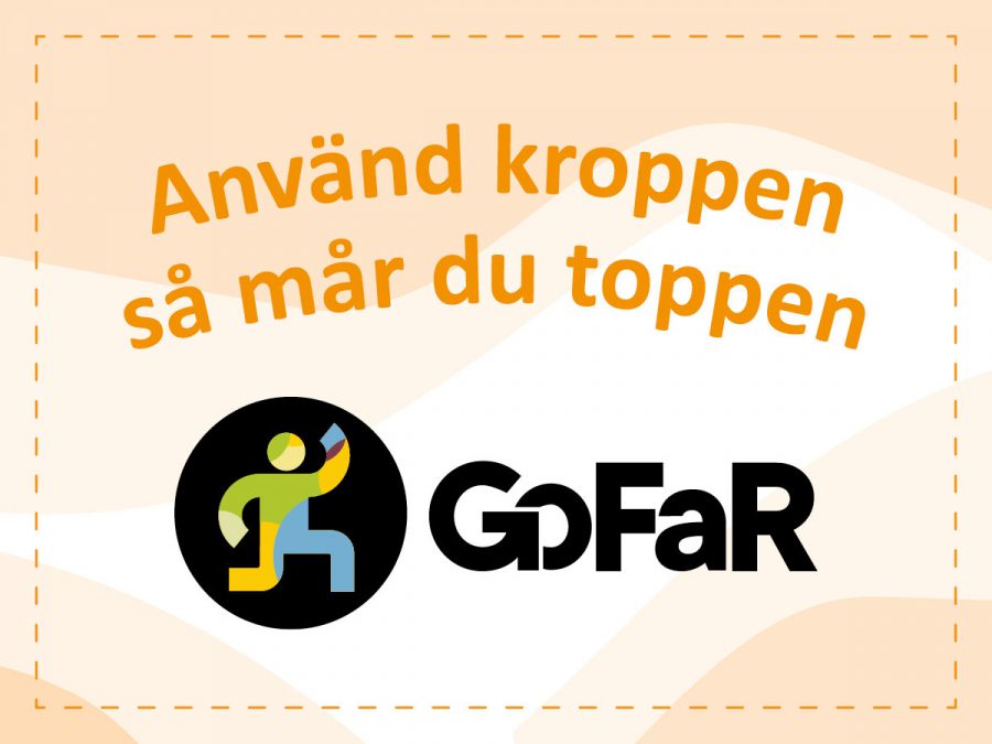 GoFar  – uppföljning