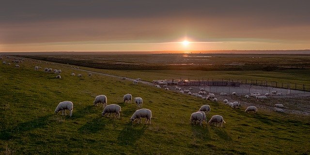Reisebusunternehmen-Ostfriesland