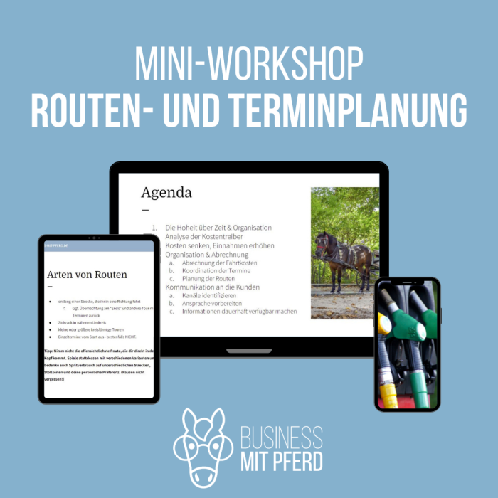 Mini-Workshop Routen- und Terminplanung
