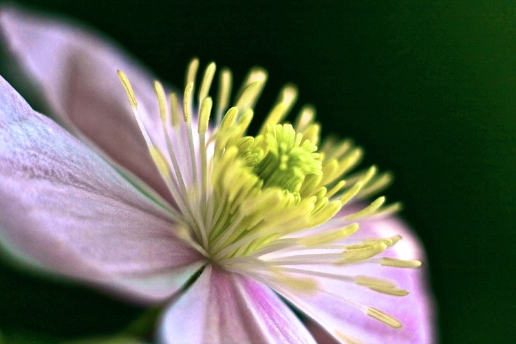 How Businesses Can Help Tackle Hayfever