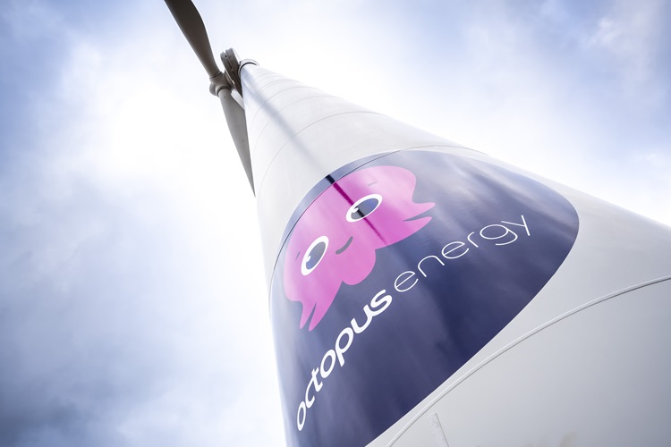 More Investors Join Octopus Energy Group