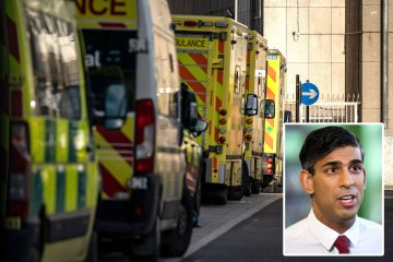 PM summons NHS chiefs for crisis talks after worst ever A&E ambulance delays