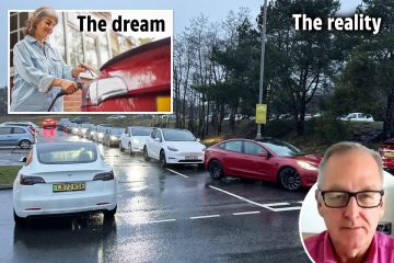 Govt should scrap the all-electric vehicle deadline to avoid economic disaster