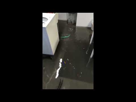 Basement flooding video courtesy of Carina Hoyer