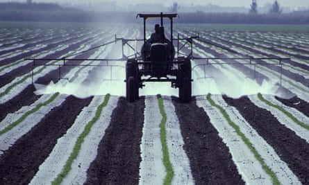 Tractor spraying crops in a field.