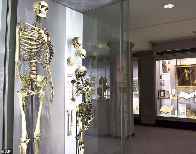 The skeleton, left, of Charles Byrne, nicknamed the 'Irish Giant' who stood about 7 feet, 7 inches (2.3 meters) tall, and died in 1783 aged 22, is displayed in London's Hunterian Museum prior to its redevelopment. The skeleton is being removed from the museum in time for its reopening in March 2023, but Byrne's desire to be laid to rest at sea is still not being fulfilled