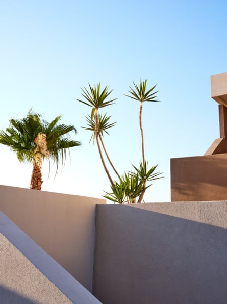 A view of clear, sunny sky, with spiky coastal plants and the walls of contemporary building