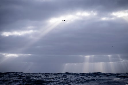The albatross begin their flight patterns across the boat’s wake – a sign that the Southern Ocean is near.