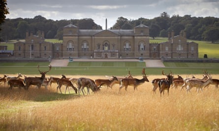 Holkham Hall and some of the grounds.