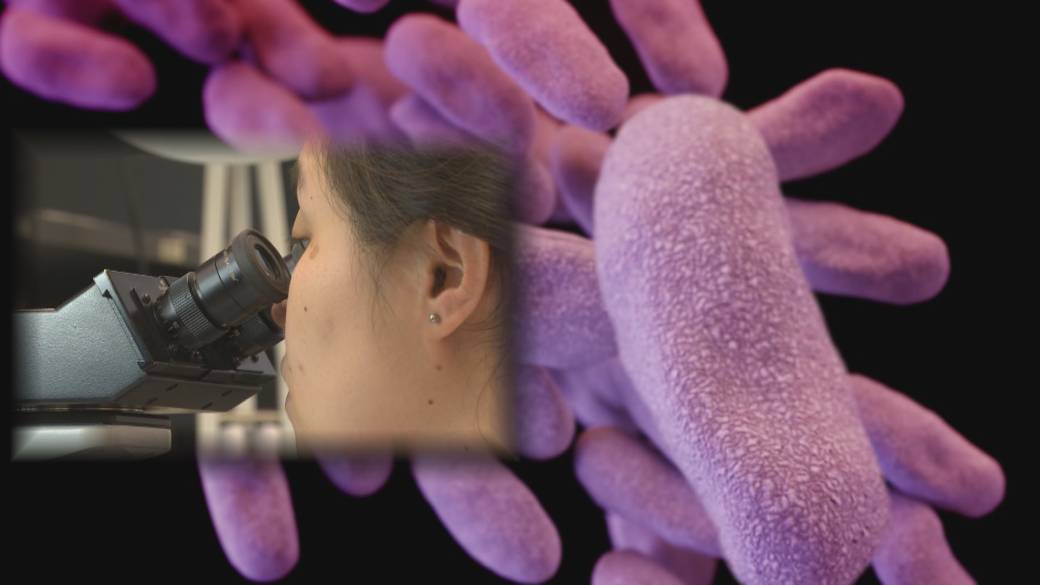 Click to play video: 'Working on a new drug to fight antibiotic-resistant superbugs'