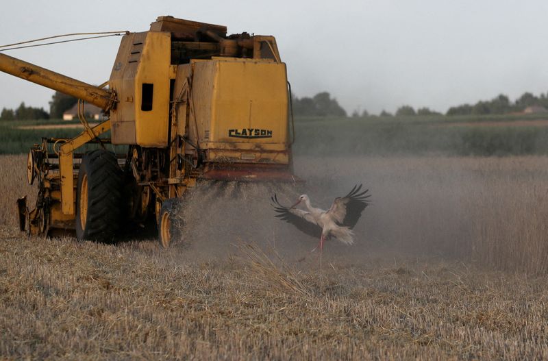 Deal reached in principle to resume Ukraine grain transit with 5 EU countries