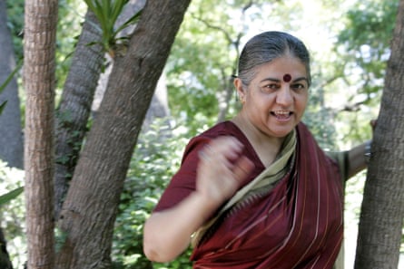 A woman in a maroon sari amid trees