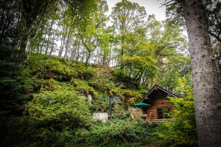 Shank Wood Log Cabins, made from whole tree trunks.