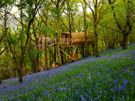 The Living-room treehouses in Powys