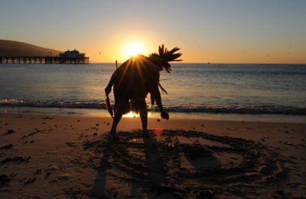 A man in a feathered headdress on a beach silhouetted against the sun with a pattern marked in the sand
