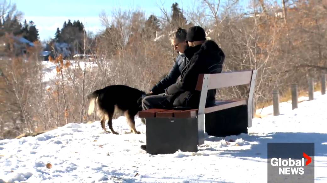 Click to play video: 'Rethinking cohabitation: Canadian couples waiting longer to live together'