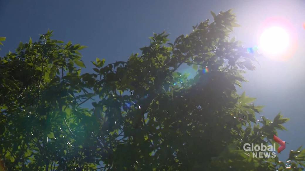 Click to play video: 'A pro that knows how to handle the heat shares some tips on how to stay safe in the summer'