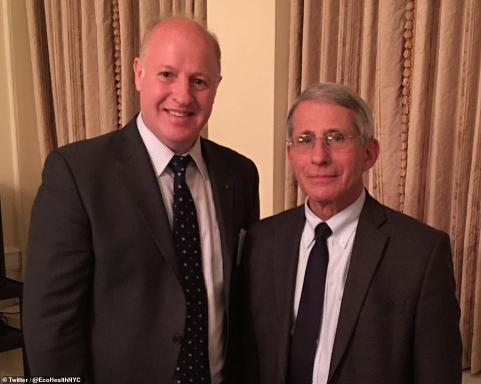 EcoHealth Alliance, run by British zoologist Peter Daszak, funded studies in Wuhan ¿ the Chinese city where the pandemic began ¿ on manipulated coronaviruses. The boss of EcoHealth Alliance, Peter Daszak, shown left, is known to be close to Dr Anthony Fauci (right)