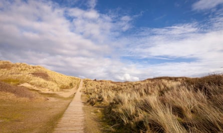 Sand dunes at Braunton Burrows nature reserve, North Devon