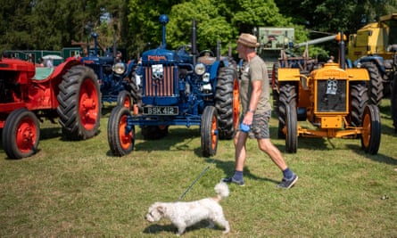 Dog shows and vintage tractors are attractions at most fairs.