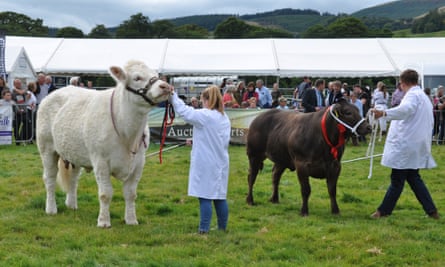 The Hodder Valley Show has the Forest of Bowland as a backdrop.