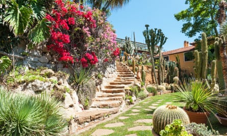 Cactus at the Pallanca garden.