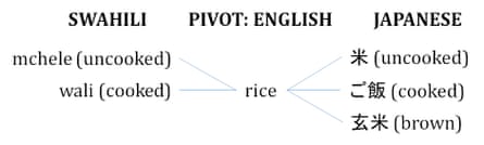 An illustration by Gábor Bella and Paula Helm showing the lexical gaps between languages that can lead to mistakes.