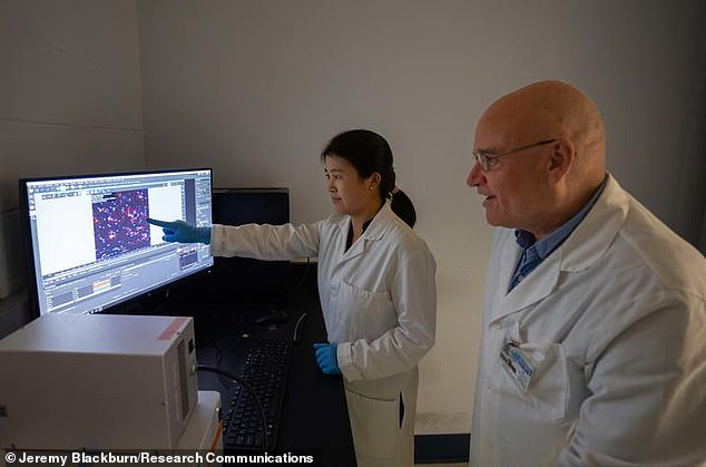 Zhihui Zhu (left) and Erhard Bieberich (right) worked with fellow researchers to study the FDA-approved medication ponesimod as a potential therapy for Alzheimer's disease