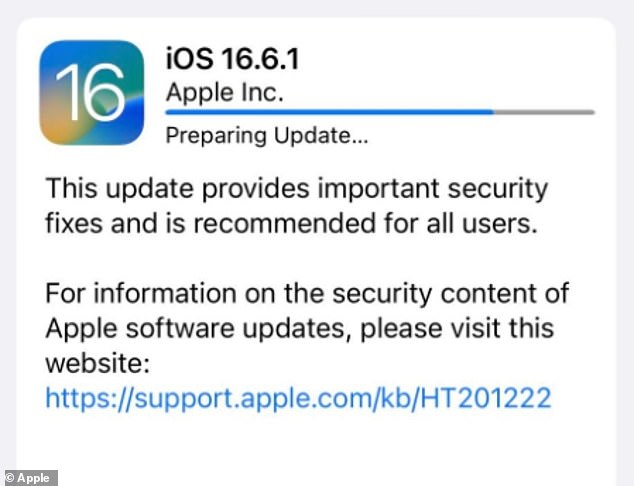 Apple confirmed the update 'provides important security fixes' but it wouldn't confirm any further details